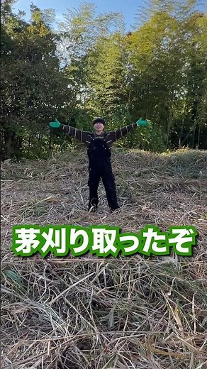 1分でわかる！茅葺き屋根の茅の刈り方！