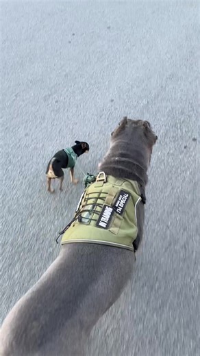 Mimi's Road to Recovery: A Journey of Healing