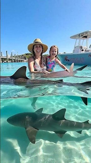 Ultimate Exuma Full-Day Tour! 🦈 Sharks & 007 Grotto