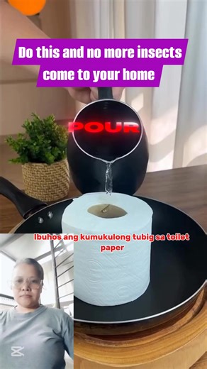 Do this and never have insect inside your home #highlightseveryone #fypシ゚viralシfypシ゚ #viralpost2025シ #followers #nonfollowers | Nellie Agustin Lucas