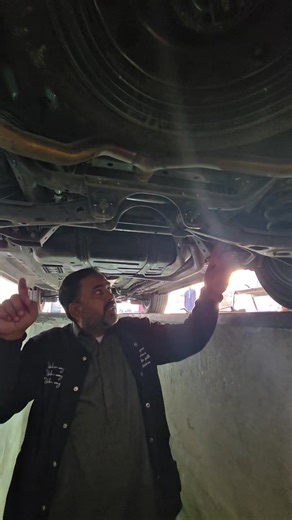 Paradise Alignment on Reels