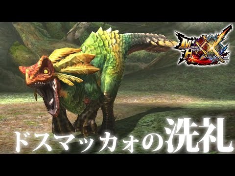 ドスマッカォにダブルクロスの基本を教えてもらいます【モンスターハンターダブルクロス - Part.1】