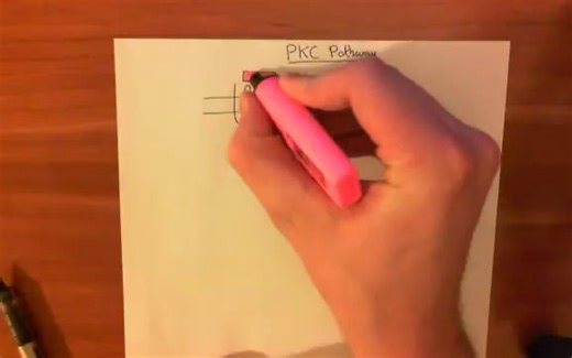 The Protein Kinase C Pathway Part 1 - 蛋白激酶C | PKC信号通路P1