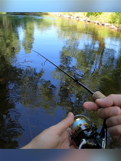 Brown trout fishing #fishing