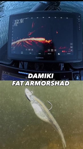 Dropping the DAMIKI Fat Armor Shad straight into a spotted bass hornet’s nest 🐝💥 #LiveScope #Damiki #DamikiFishing