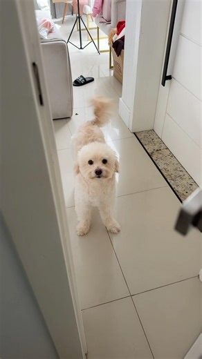 Slink wants to go into the bathroom.