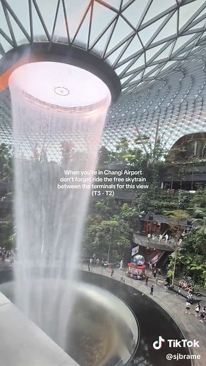 Experience the Beauty of Singapore's Changi Airport