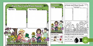 Plant Parts and Plant Needs