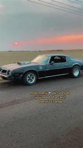 ltl_dogltl_dog#CapCut #firebird #pontiac #musclecar