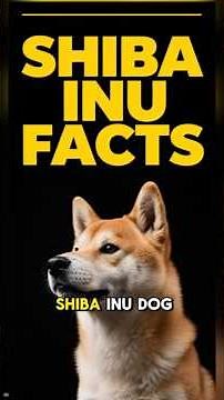 SHIBA INU 101 ✅ Fun Japanese Breeds Information Guide & Top Training Tips You Need to Know Video!