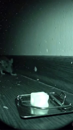 😀😀😀 #viral #comedy #funny #animation @vivid_motion1 | Vivid Animation's