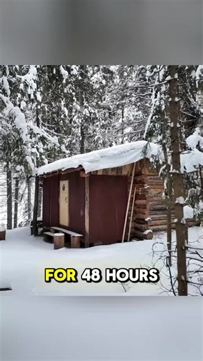 48 Hours alone in a blizzard at -27°C, stranded in the forest. #build #building #buildingahouse #shelterlife #bushcrafting #bushcraftskills #bushcraftshelter #survived #survival #survivalskills #outdoorlife #woodenhouse #logcabin #outdoorlife #outdoorliving #wilderness