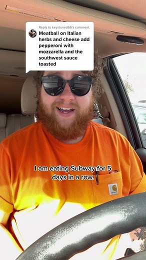 Meatball Sub Review with Southwest Sauce | Subway Sandwich