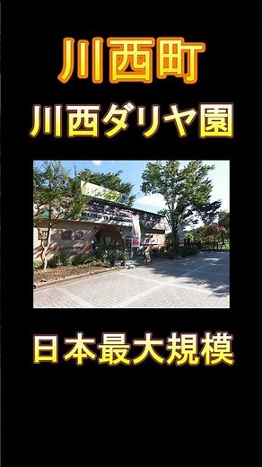 日本の市町村紹介～山形県川西町～ #山形 #山形県 #川西町 #川西 #川西ダリヤ園 #ダリヤ