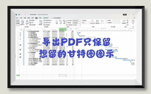 Project导出PDF时，甘特图示例如何设置