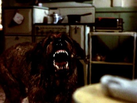 Cujo (1983)