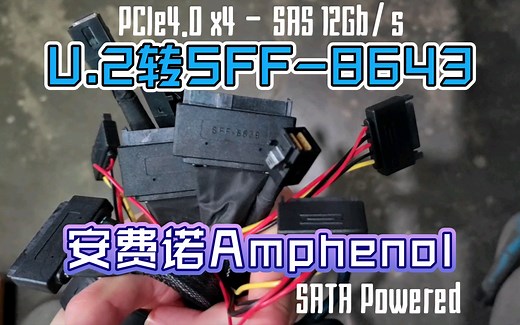 服务器常用！U.2 (SFF-8639)转SFF-8643 NVMe U2转接线SSD硬盘数据线 65CM 安费诺Amphenol miniSAS 12Gb/s
