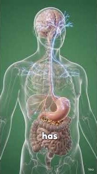 What Happens Inside Your Body When You Eat Too Fast? 😳🍽️ | Amazing Human Body Facts.