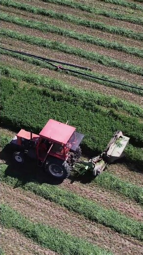 Cloverleaf shape compression