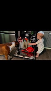 Toddlers boxers household chores = Helpers! #boxer #boxerdog #boxerpuppy #toddlers | Luke The Boxer