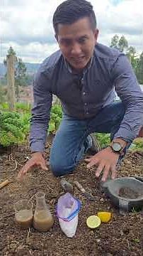 How to tell if soil is acidic or alkaline with 2 ingredients #garden #plants #agriculture