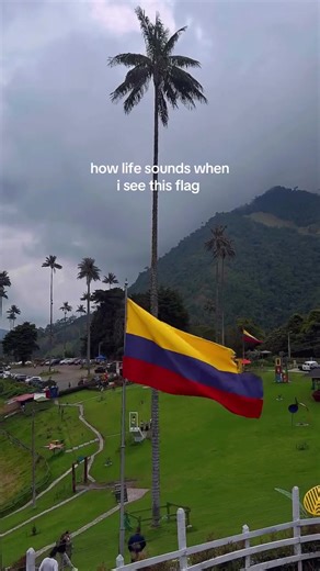 life sounded too good hiking through salento #salento #colombia #travel #traveltiktok #olaoutside