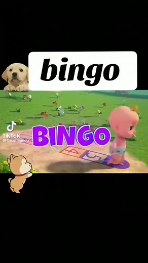 Canción Infantil: Bingo el Perro y su Gran Historia