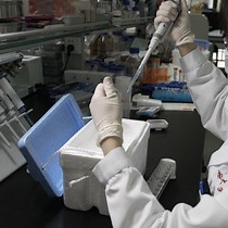 Video: Ensayos bioquímicos in vitro utilizando marcadores de biotina para estudiar las interacciones proteína-ácido nucleico