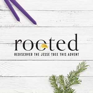 FORMED Advent: Rooted Press Resources