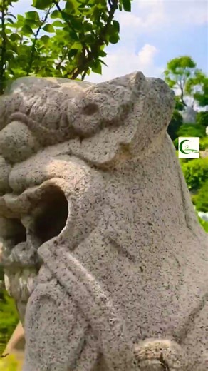 Thiết Kế Sân Vườn & Hồ Cá Koi Đẹp Cảnh Quan Biệt Thự Đẳng Cấp #sanvuonhocakoi #canhquanbietthu #shor