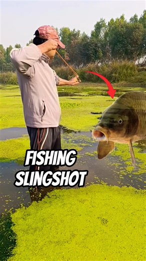 slingshot fishing tips and techniques #fishing #shortsfeed #slingshot