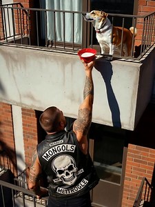 I called the cops on the biker climbing my neighbor's balcony until I saw what he was feeding. My finger was literally hovering over the 911 call button when I looked closer through my kitchen window and realized the terrifying tattooed man balancing three stories up wasn't breaking in. 𝙍𝙀𝘼𝘿𝙈𝙊𝙍𝙀 👉👉👉 https://celebupdate24h.com/h2n28f He was holding a bowl of food up to a starving dog that had been trapped on that balcony for six days. Six days. I'd been watching that dog die slowly for
