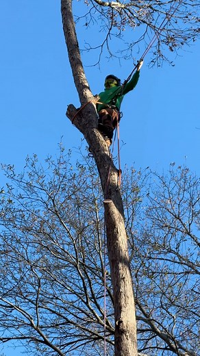  Tree Service & Lot Clearing project in  Decatur, GA . Call us for a free estimate ☎️(678) 457-3487 ☎️(678) 677-9102 . . . #trees #treeremoval #treework #arborist #tree #stihl #stumpgrinding #treecare #landscaping #treetrimming | Jireh Tree Services & Landscaping | Facebook