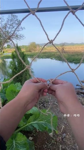 #Fishing net weaving techniques#The method of weaving fishing nets#Knot#Knot sharing