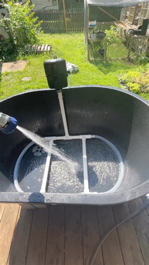 21K views · 442 reactions | The last harvest of lettuce until late...