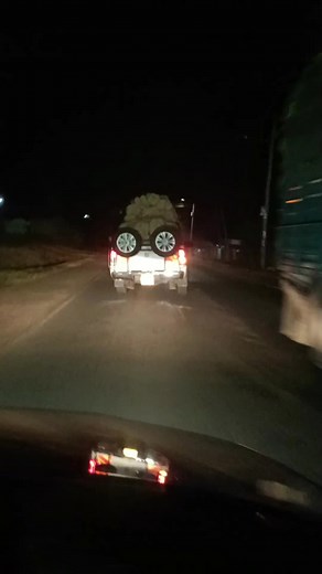 Nighttime Drive on a Rural Road with Pickup Truck