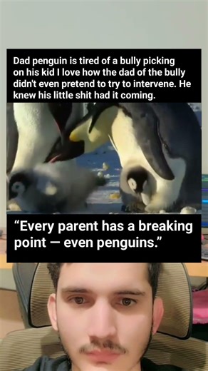 Dad Penguin Fights Bully to Protect His Chick — Hilarious Antarctic Animal Justice