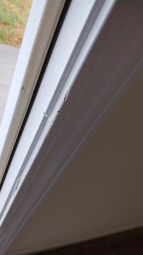 marro_12r (@marro_12r)’s videos with original sound - marro_12r