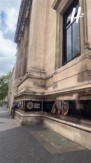 We were invited to check out the incredible Natural History Musuem transform into a wedding venue, and we were very impressed! 💒 Check out The Natural History Museum and other incredible Hidden Gems here - https://landing.hitched.co.uk/hidden-gems/?utm_source=facebook&utm_medium=organic-social&utm_campaign=Hiddengems&utm_content=app.dashhudson.com/hitched-uk/library/media/427298154&cmp=fb-post-organic-Hiddengems | Hitched.co.uk