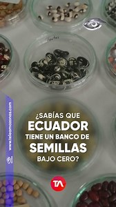 78K views · 2K reactions |  En este banco no encontrarás lingotes...