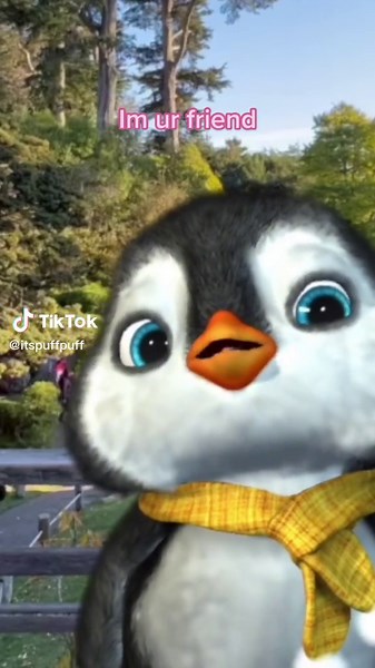 Friendship Forever: A Bond That Lasts a Lifetime