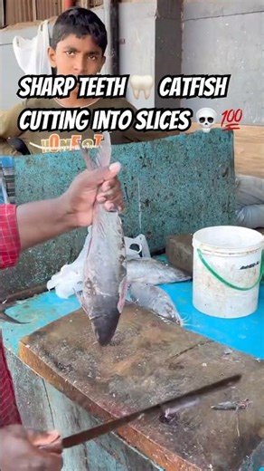🐟🔪 Watch this catfish transform into clean, perfect cuts like a true master at work!”