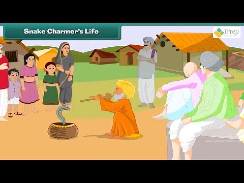 Class 5 EVS Chapter - 2 "A Snake Charmer's Story" cbse english Environmental studies Looking Around