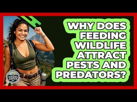 Why Does Feeding Wildlife Attract Pests And Predators?
