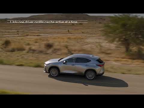 Know Your Lexus | Profile