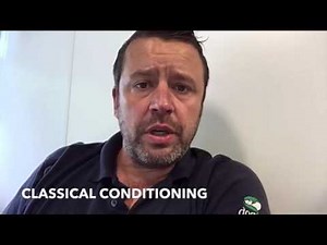 Dog training made simple - classical and operant conditioning