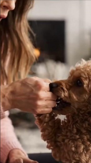 Your Puppy Keeps Biting? Stop This Mistake Now