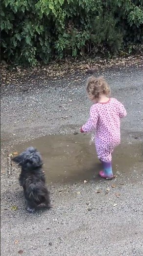 Pure Happiness: Toddler Splashes About In A Puddle! 💕💧