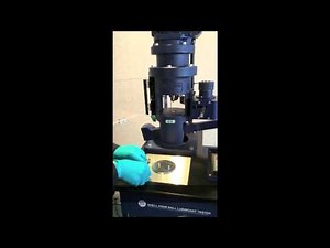 ASTM D2596 4 Ball Lubricant Tester for oil from Seta-Shell