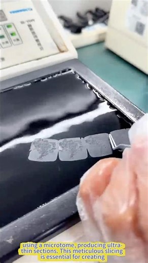 Precision in Action – The Art of Pathological Slicing